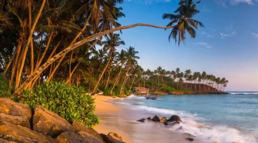 Sri lanka explore with musafirbaba Sri lanka explore with musafirbaba